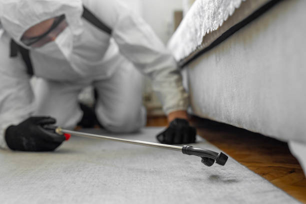 Professional Mosquito Control technician working in Hampton, IL