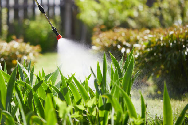 24/7 Emergency Mosquito Control experts in Hampton, IL